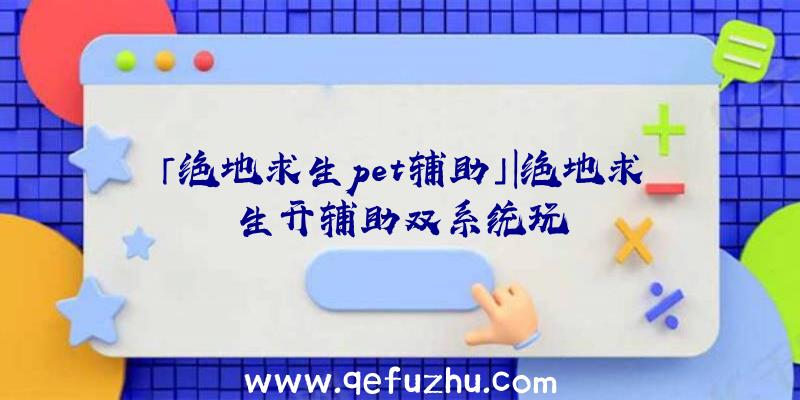「绝地求生pet辅助」|绝地求生开辅助双系统玩